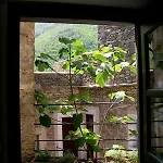 Paradiset The Nest In * Colletta