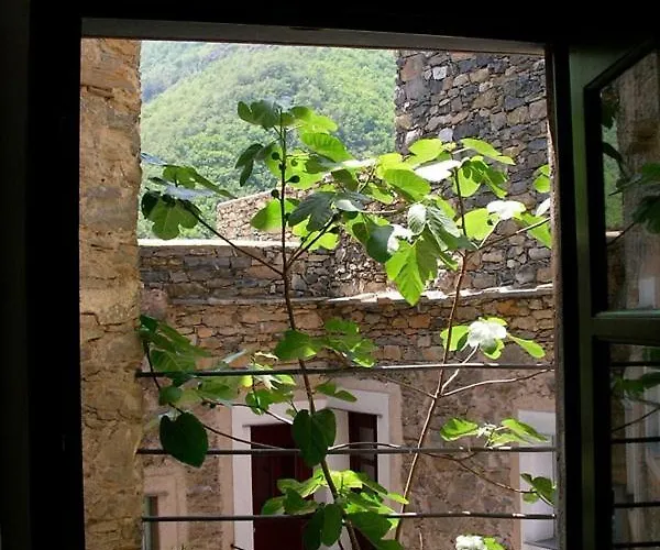 Paradiset The Nest * Colletta